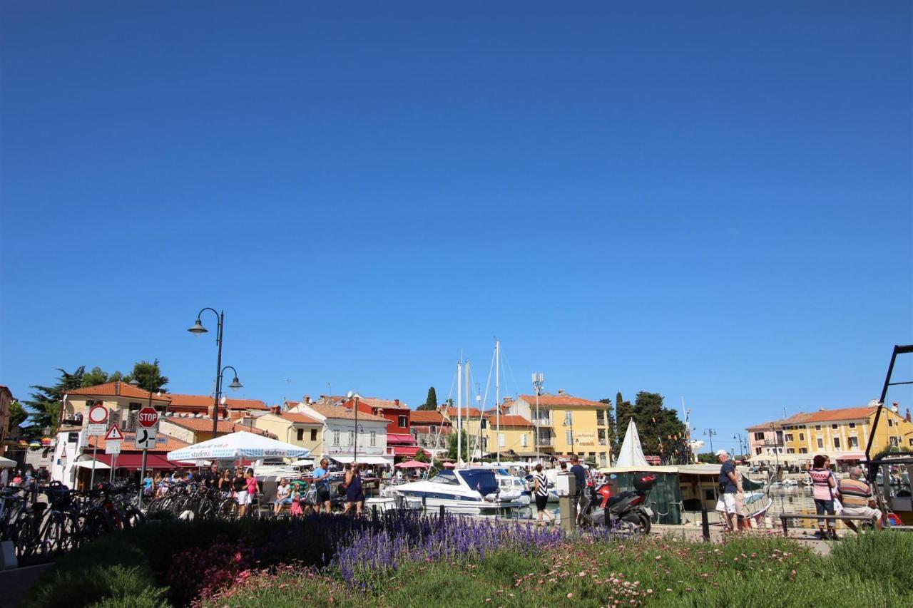 Gianna A4+2 Apartman Novigrad Istria Kültér fotó
